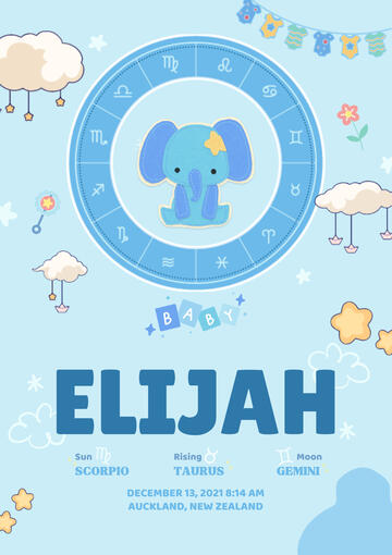 Baby birth stats